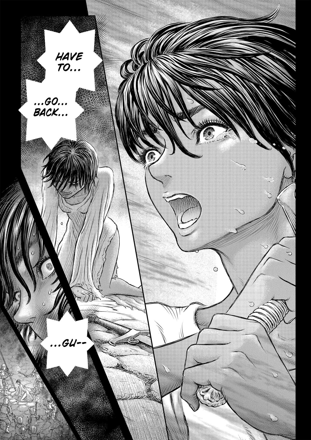 Berserk Chapter 372 — page 17