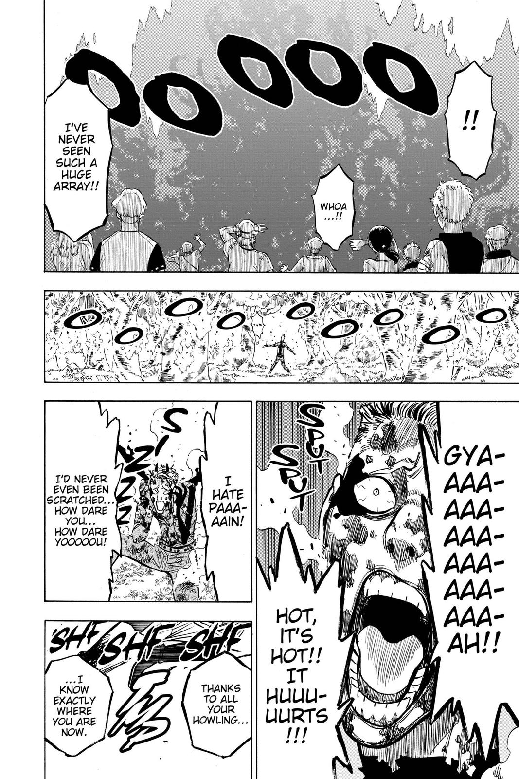 Black Clover Chapter 249 — page 13
