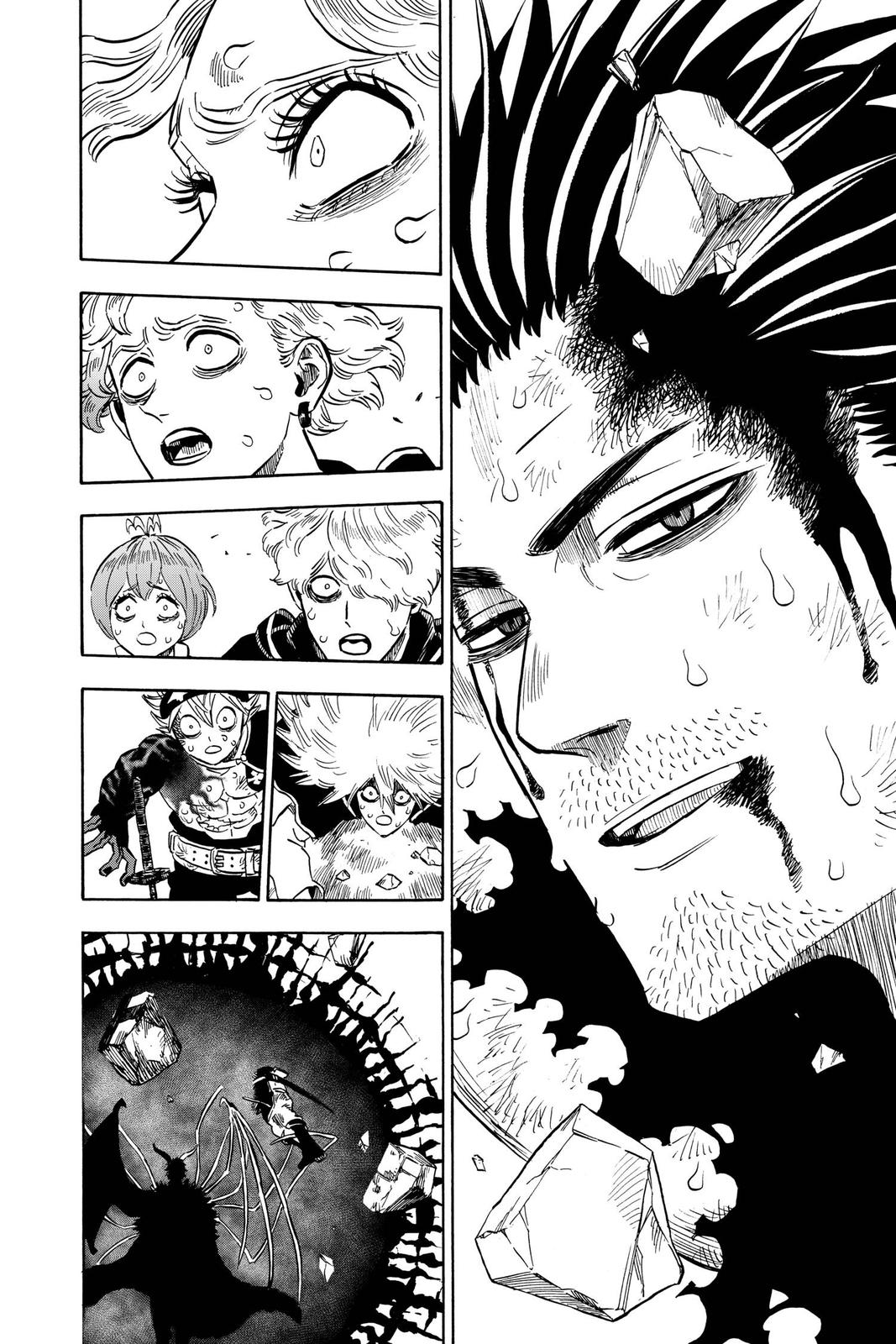 Black Clover Chapter 260 — page 14