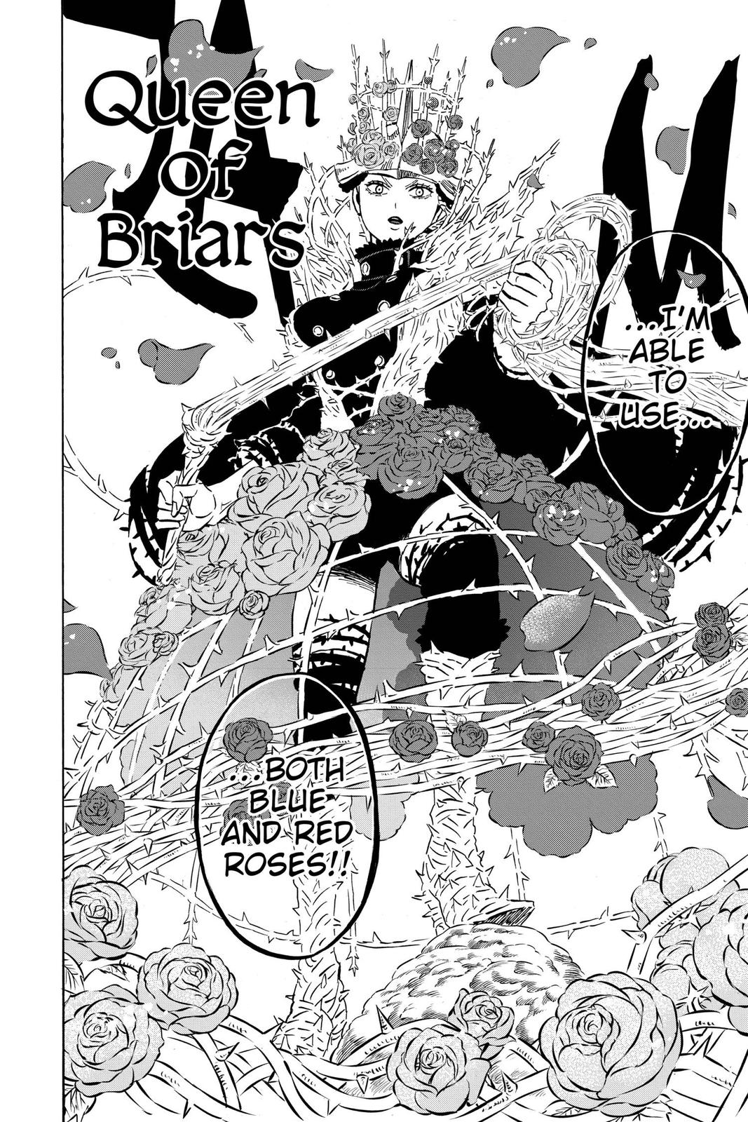 Black Clover Chapter 277 — page 13