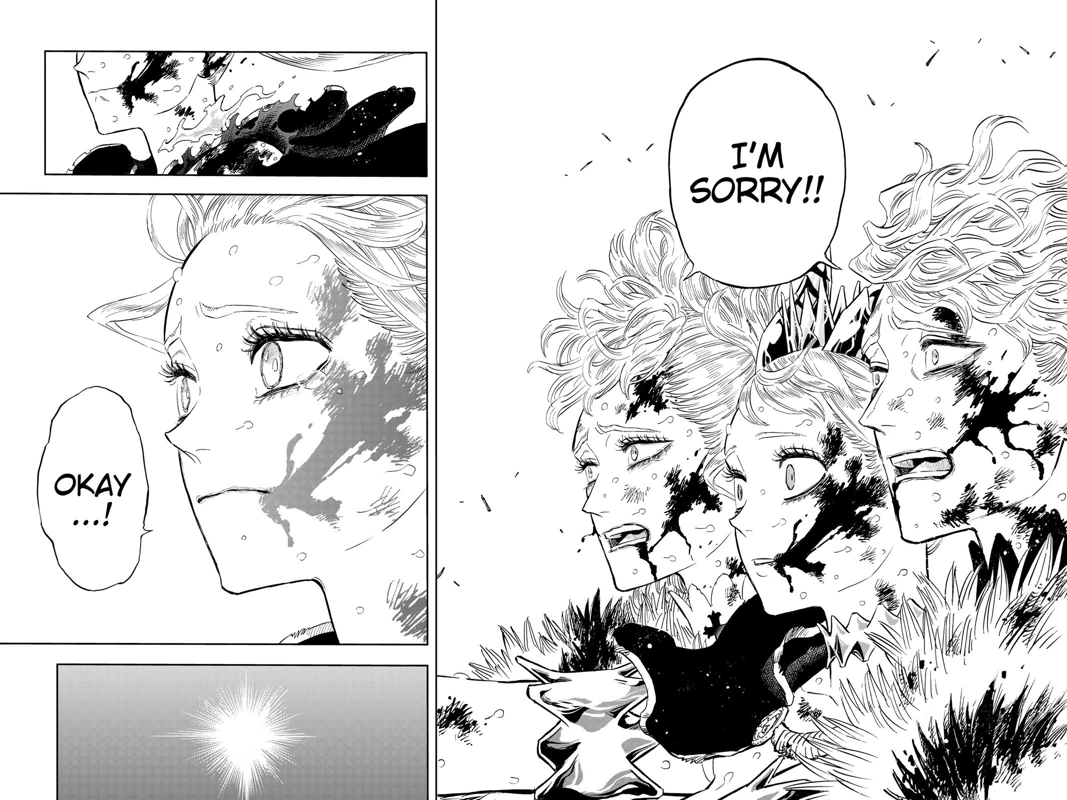 Black Clover Chapter 373 — page 14