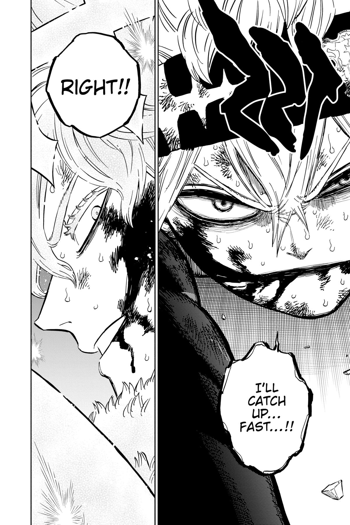 Black Clover Chapter 380 — page 15