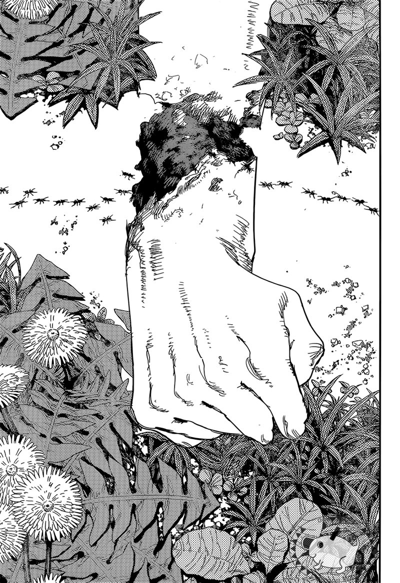 Chainsaw Man Chapter 63 — page 17
