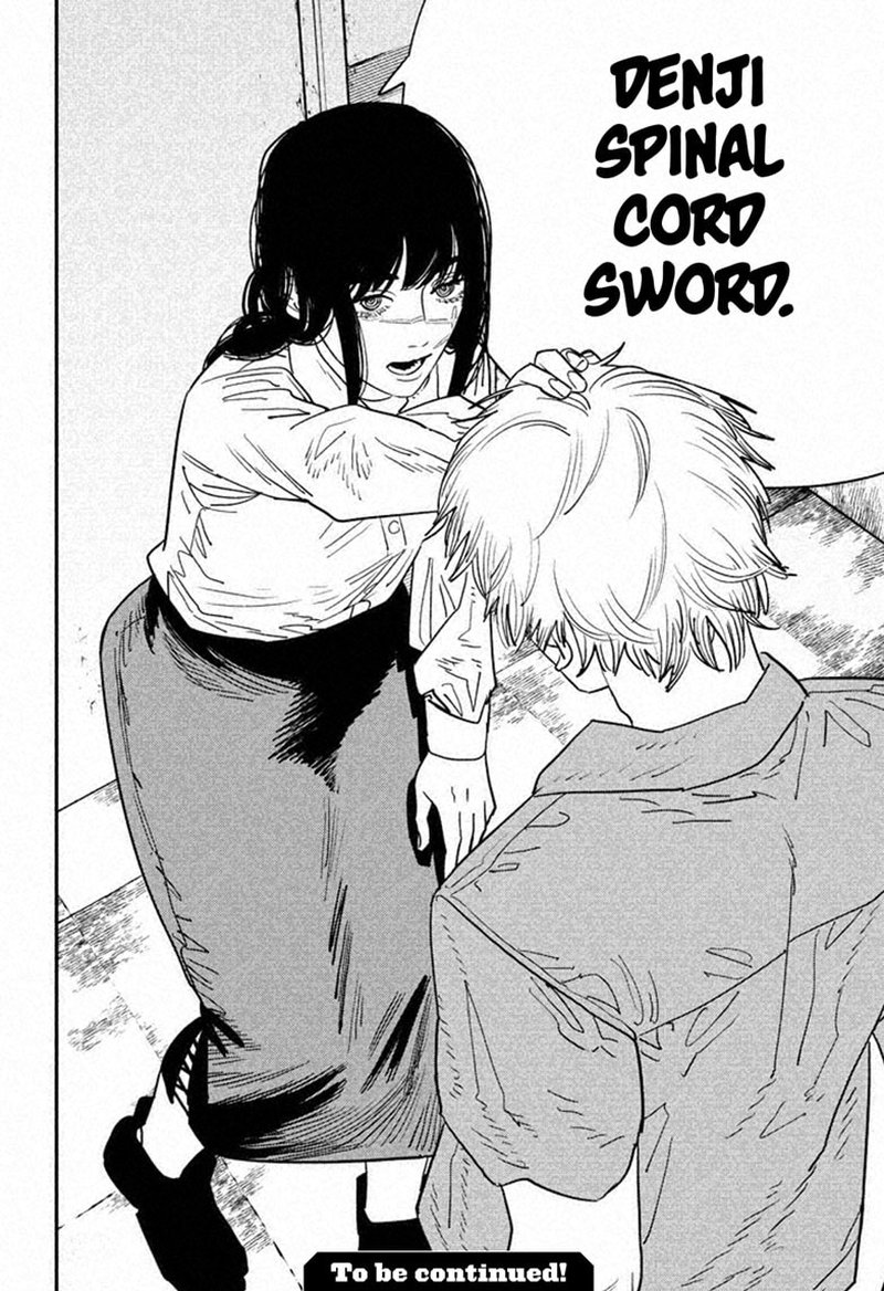 Chainsaw Man Chapter 117 — page 17