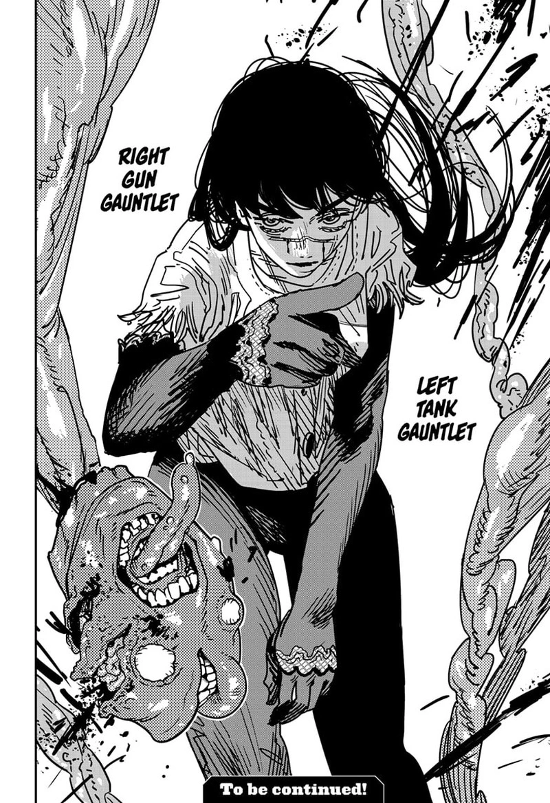 Chainsaw Man Chapter 176 — page 17