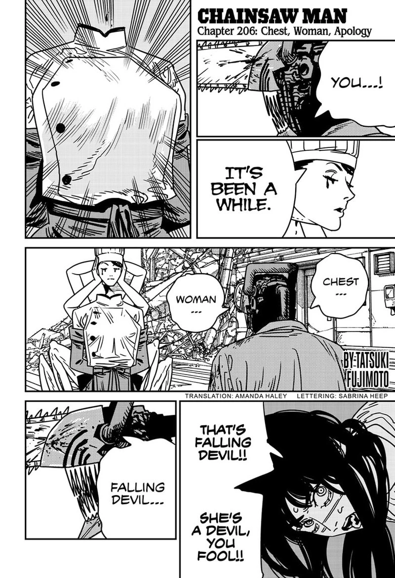 Chainsaw Man Chapter 206 — page 1