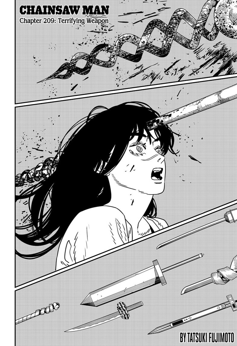 Chainsaw Man Chapter 209 — page 1