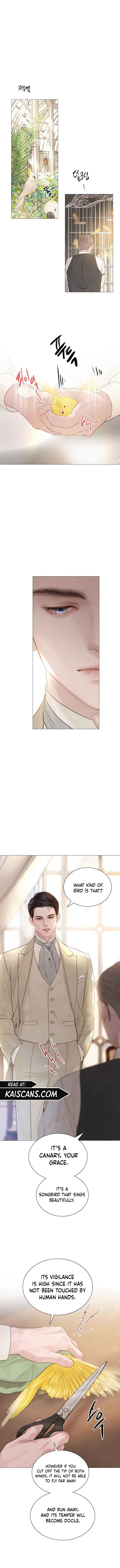 Cry, Even Better If You Beg Chapter 11 — page 8