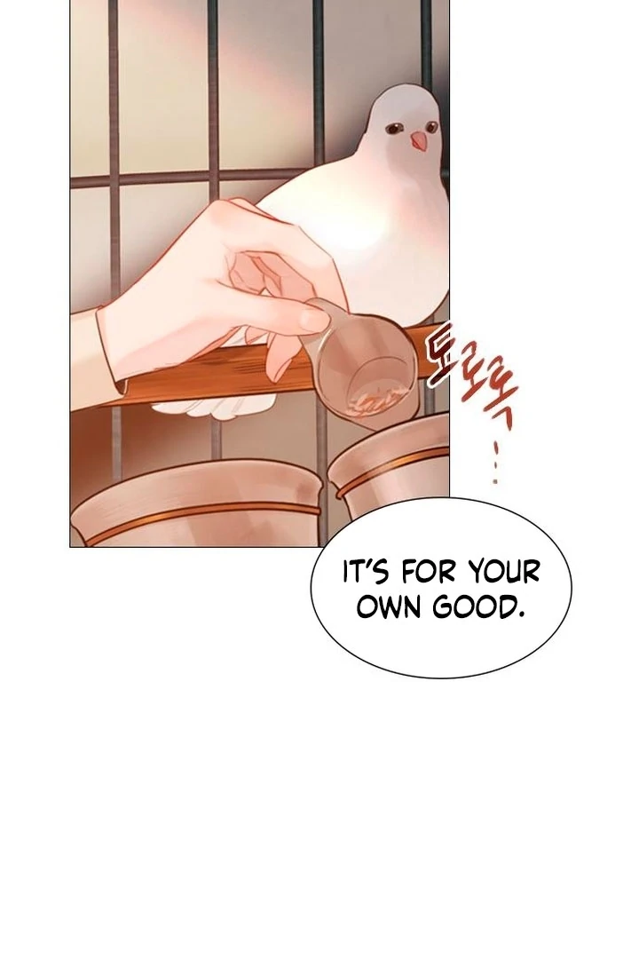 Cry, Even Better If You Beg Chapter 65 — page 40
