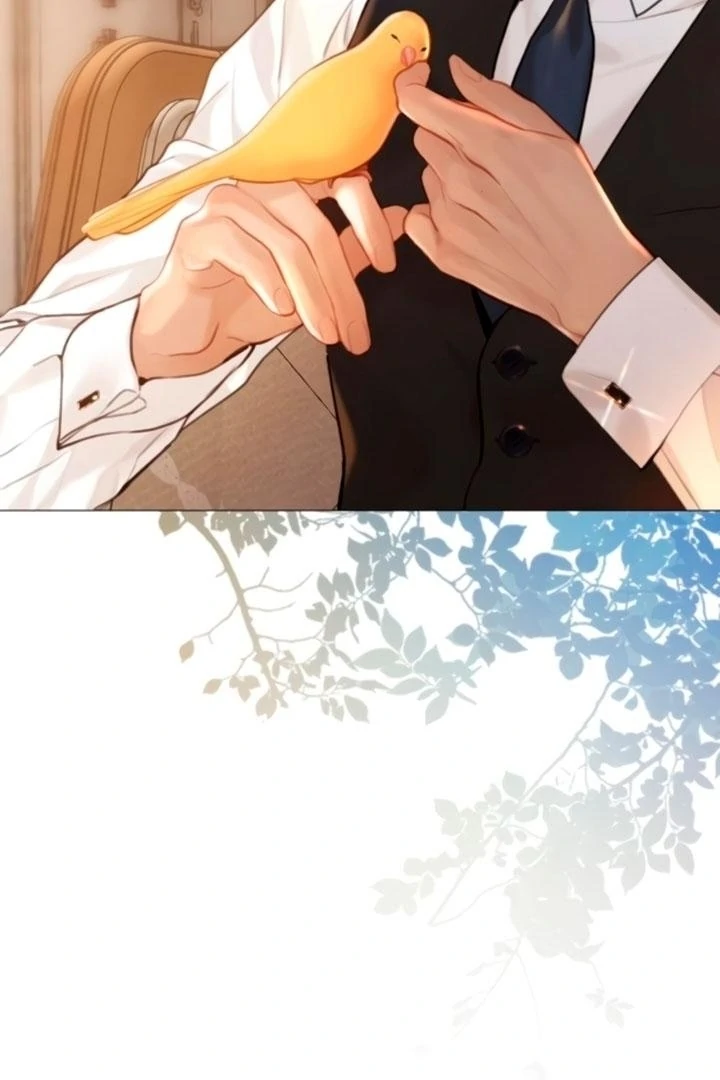 Cry, Even Better If You Beg Chapter 68 — page 8