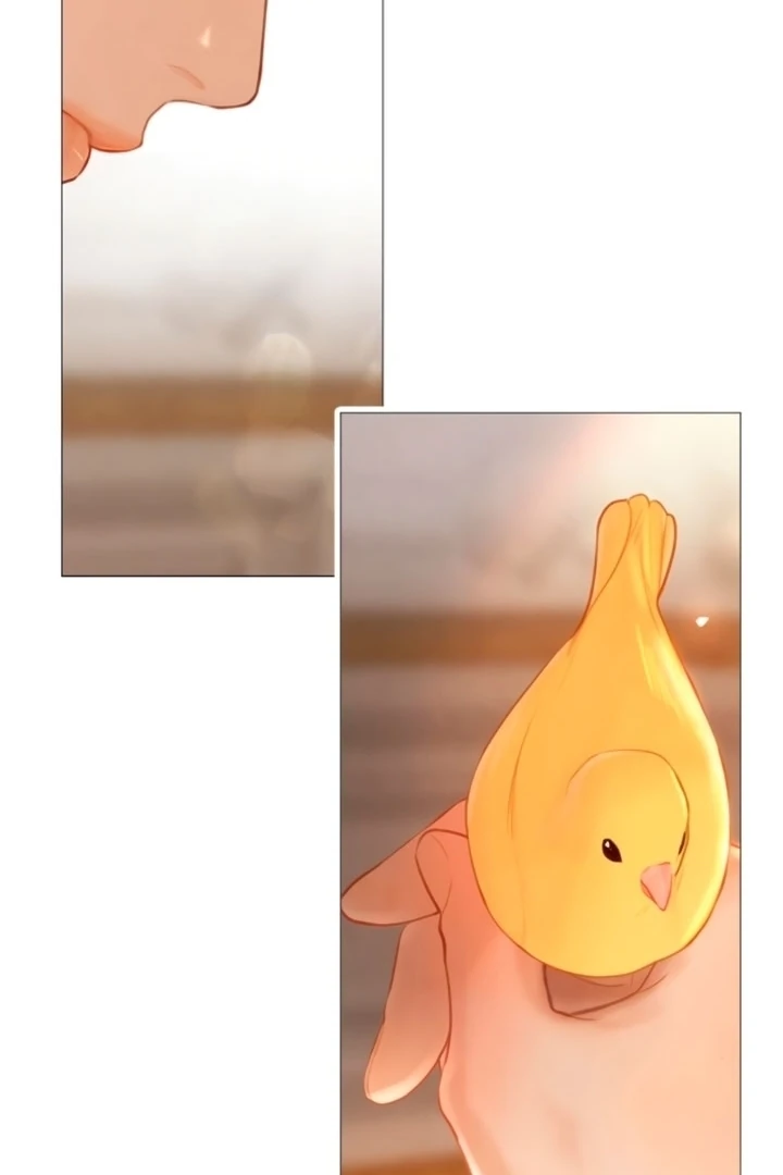 Cry, Even Better If You Beg Chapter 68 — page 46