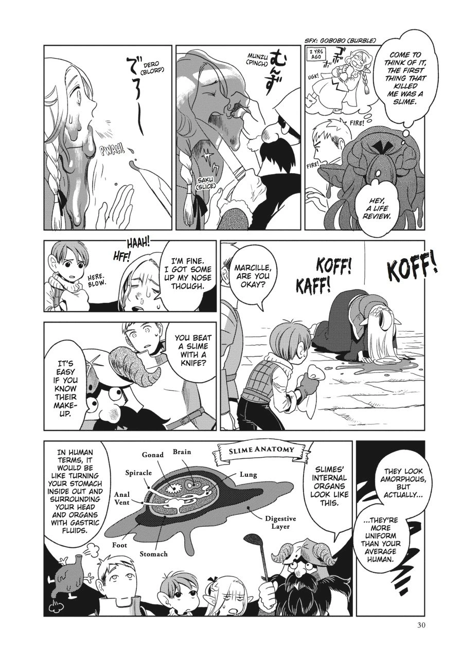 Delicious in Dungeon Chapter 1 — page 29