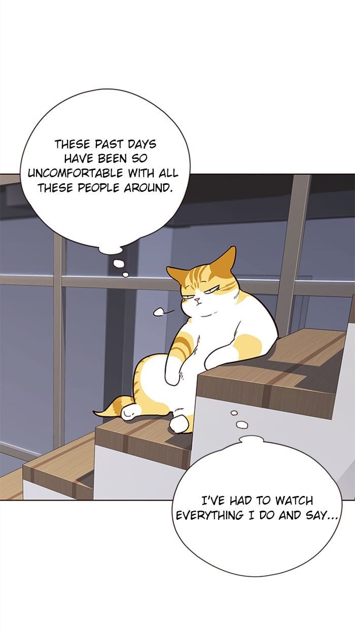 Eleceed Chapter 35 — page 42