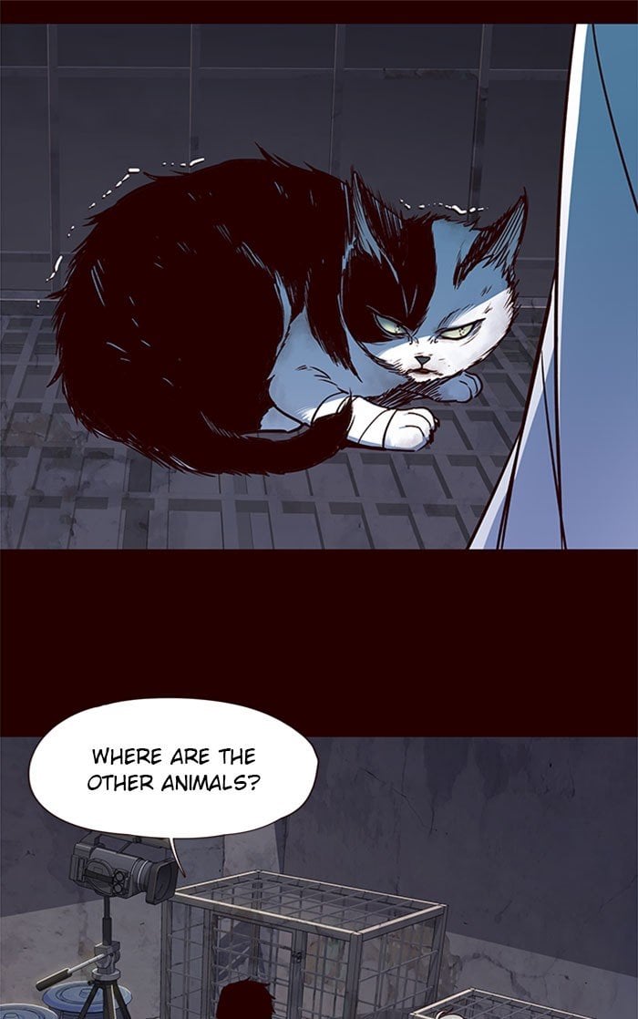 Eleceed Chapter 36 — page 10