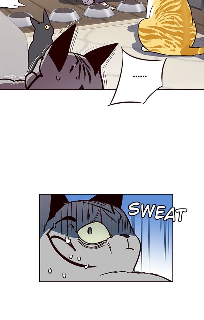 Eleceed Chapter 37 — page 33