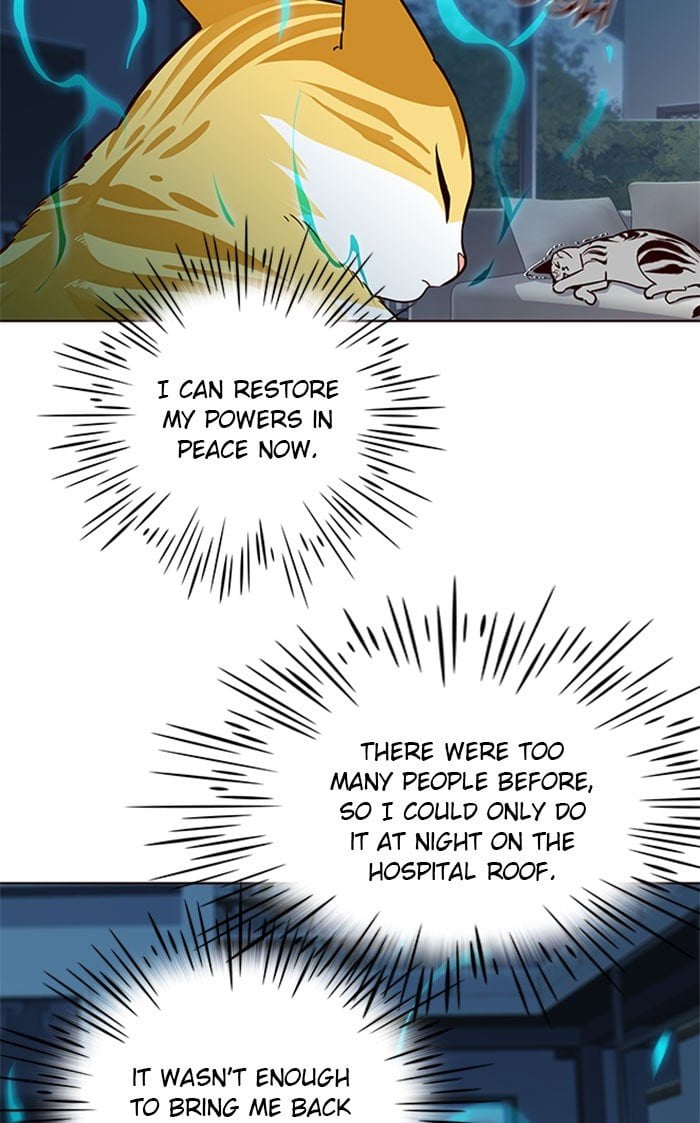 Eleceed Chapter 37 — page 44