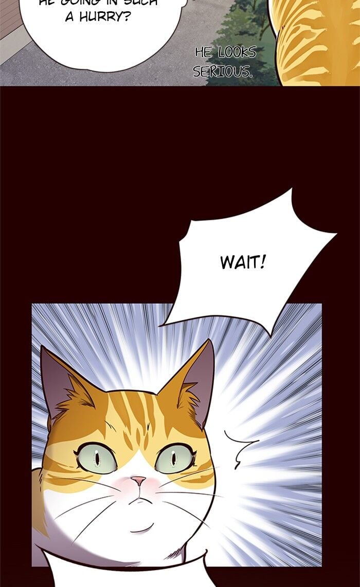 Eleceed Chapter 52 — page 40