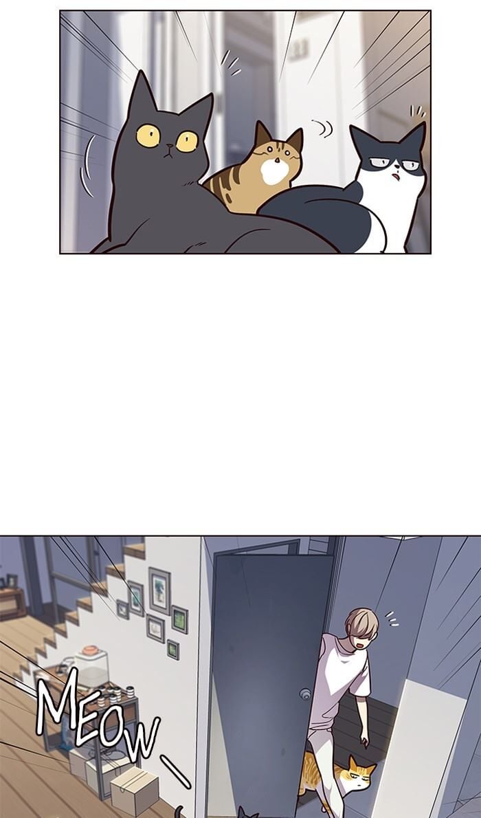 Eleceed Chapter 55 — page 11