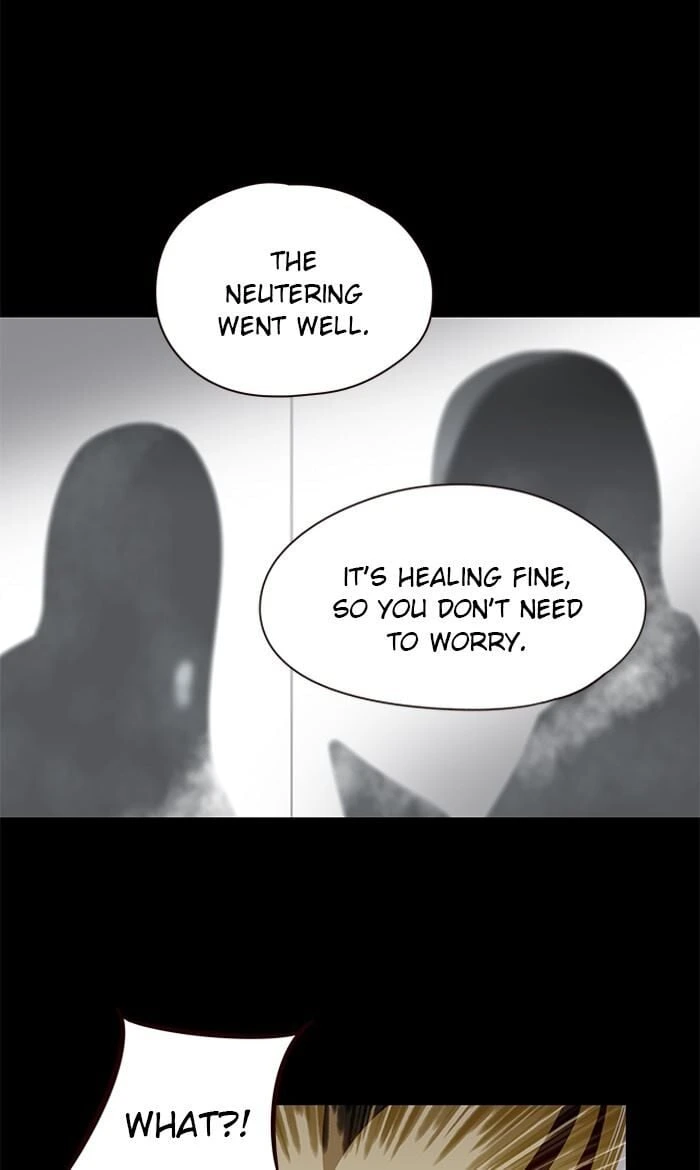 Eleceed Chapter 56 — page 8
