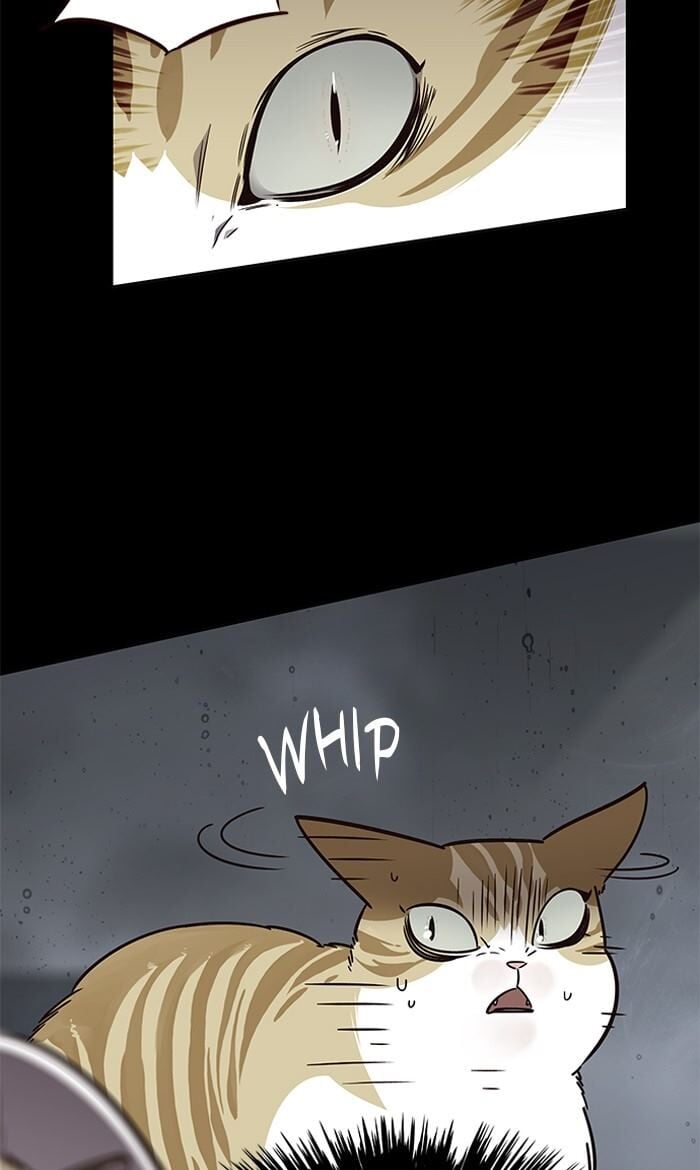 Eleceed Chapter 56 — page 9