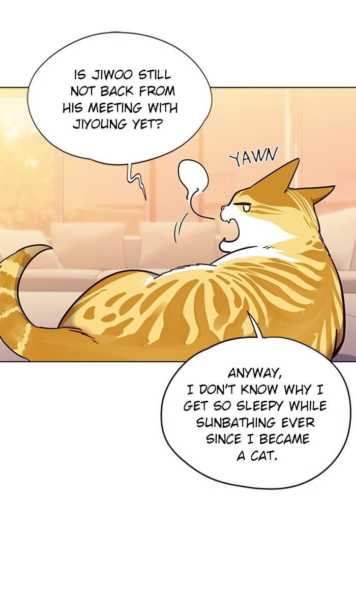 Eleceed Chapter 56 — page 20