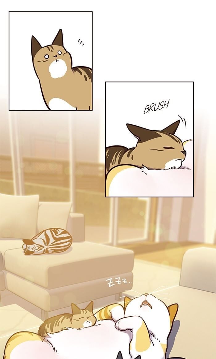Eleceed Chapter 56 — page 21