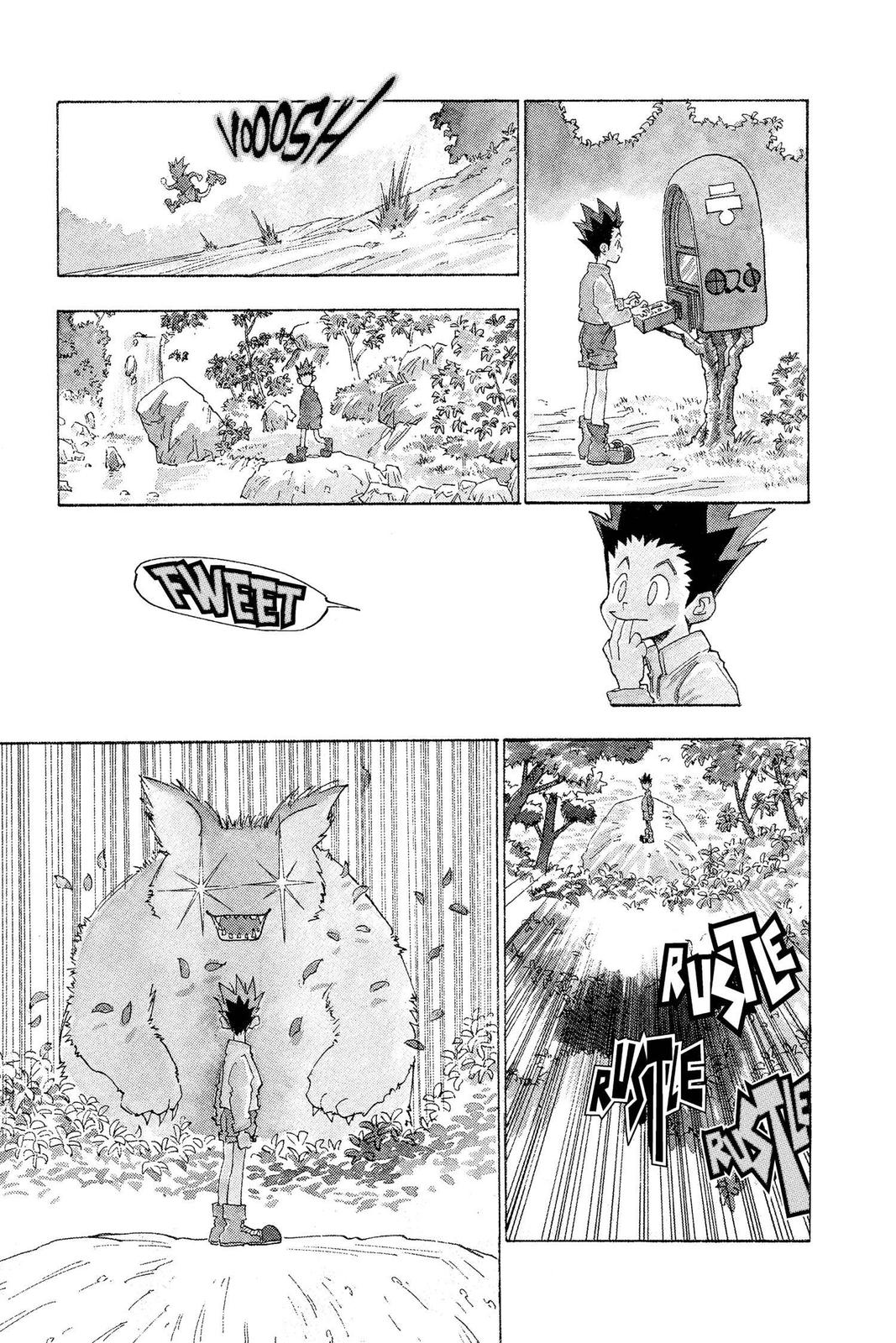 Hunter x Hunter Chapter 1 — page 17