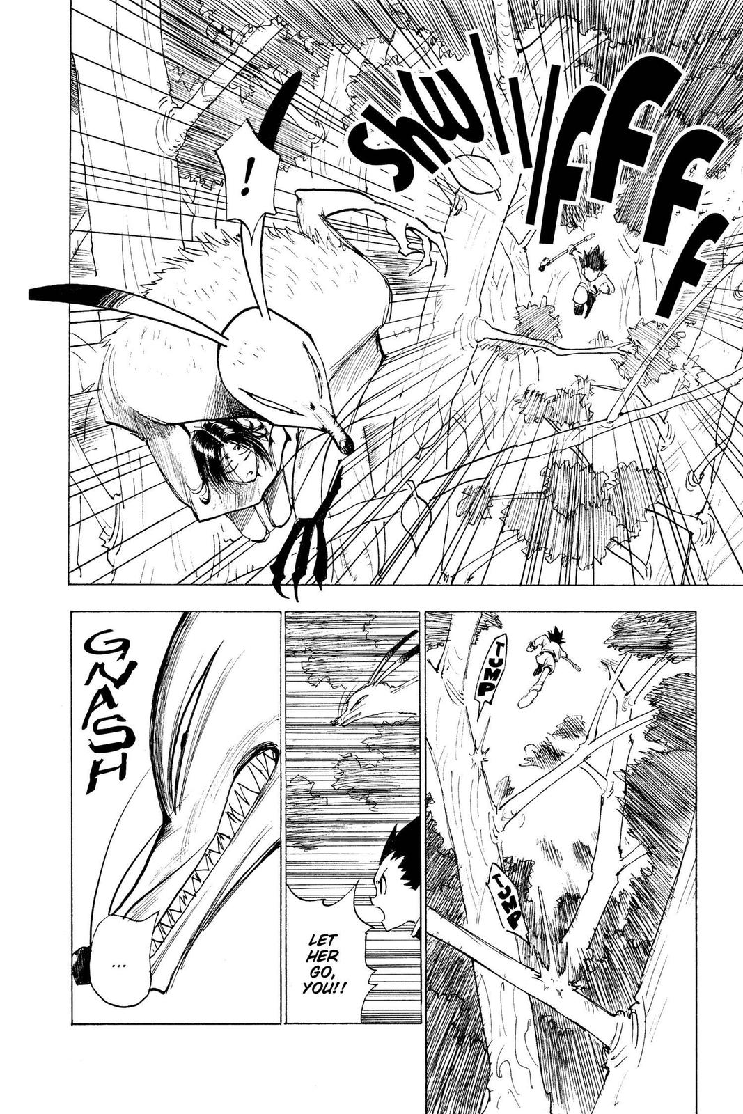 Hunter x Hunter Chapter 4 — page 8