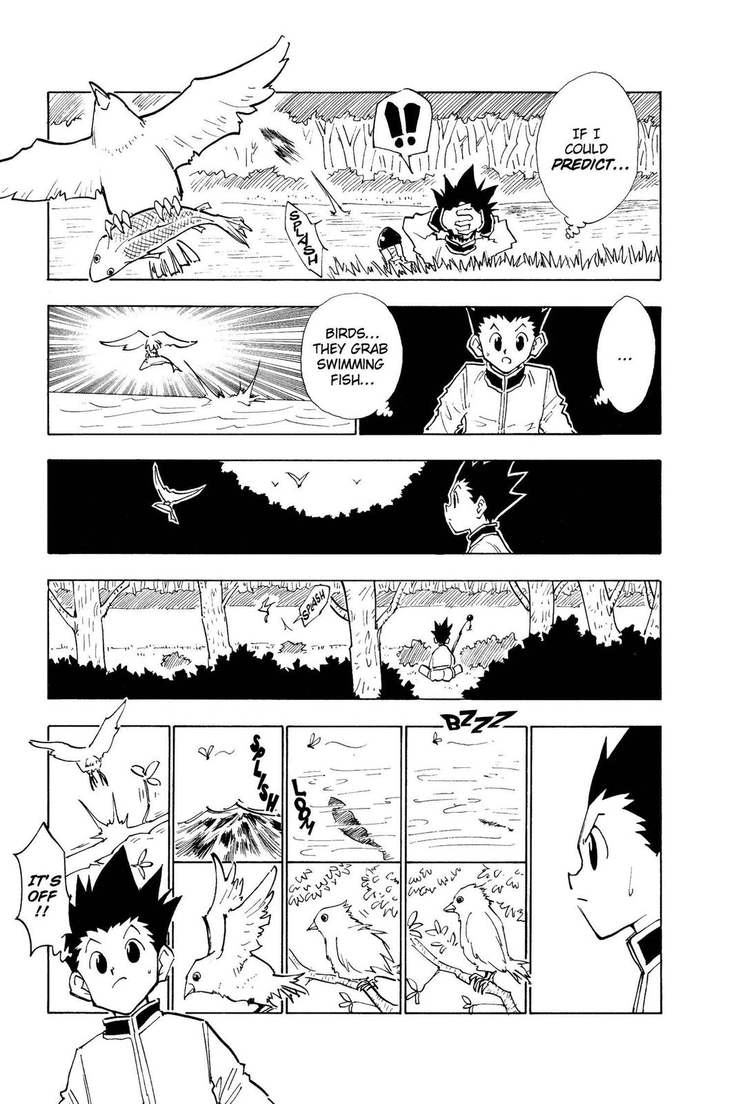 Hunter x Hunter Chapter 24 — page 17