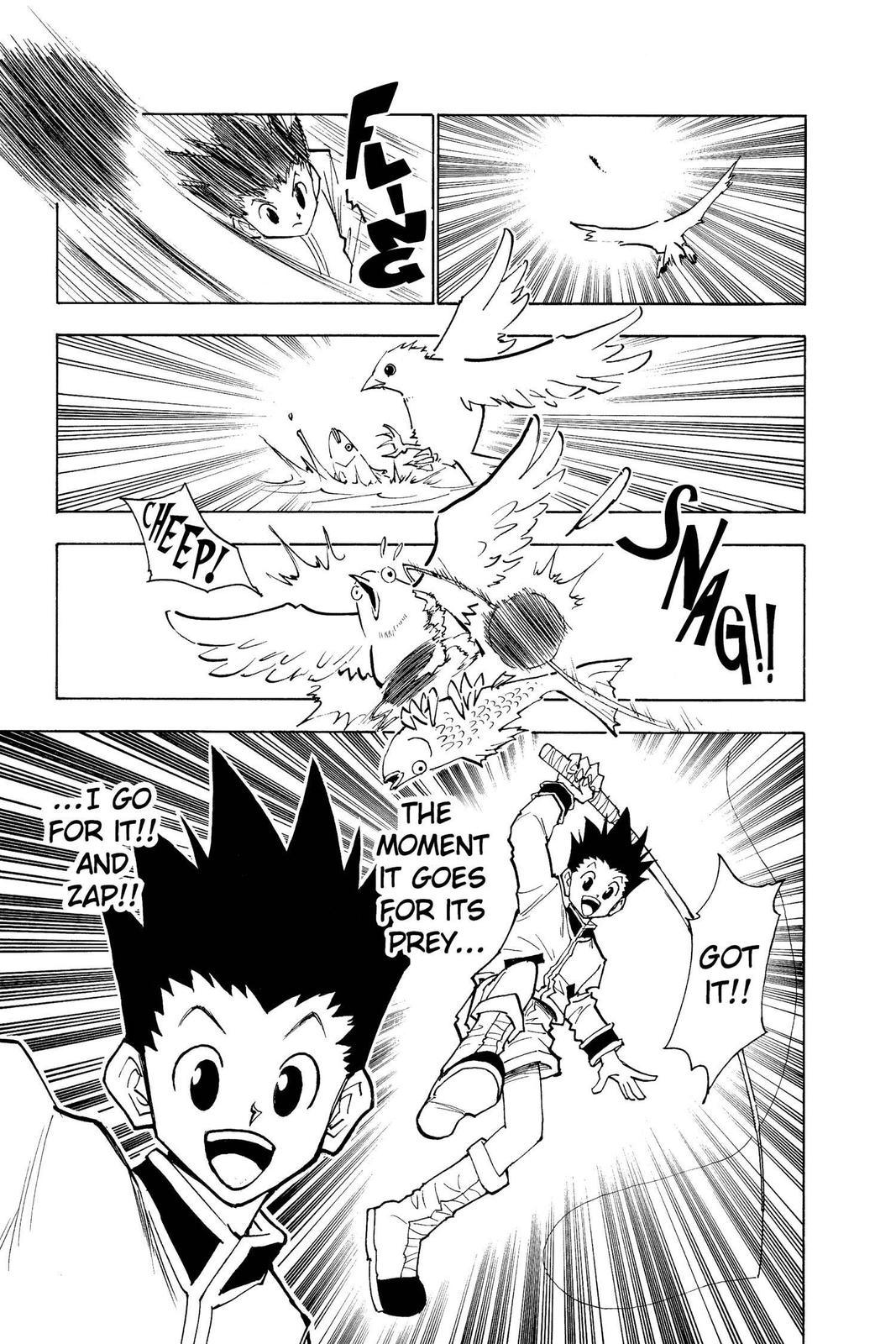 Hunter x Hunter Chapter 24 — page 19