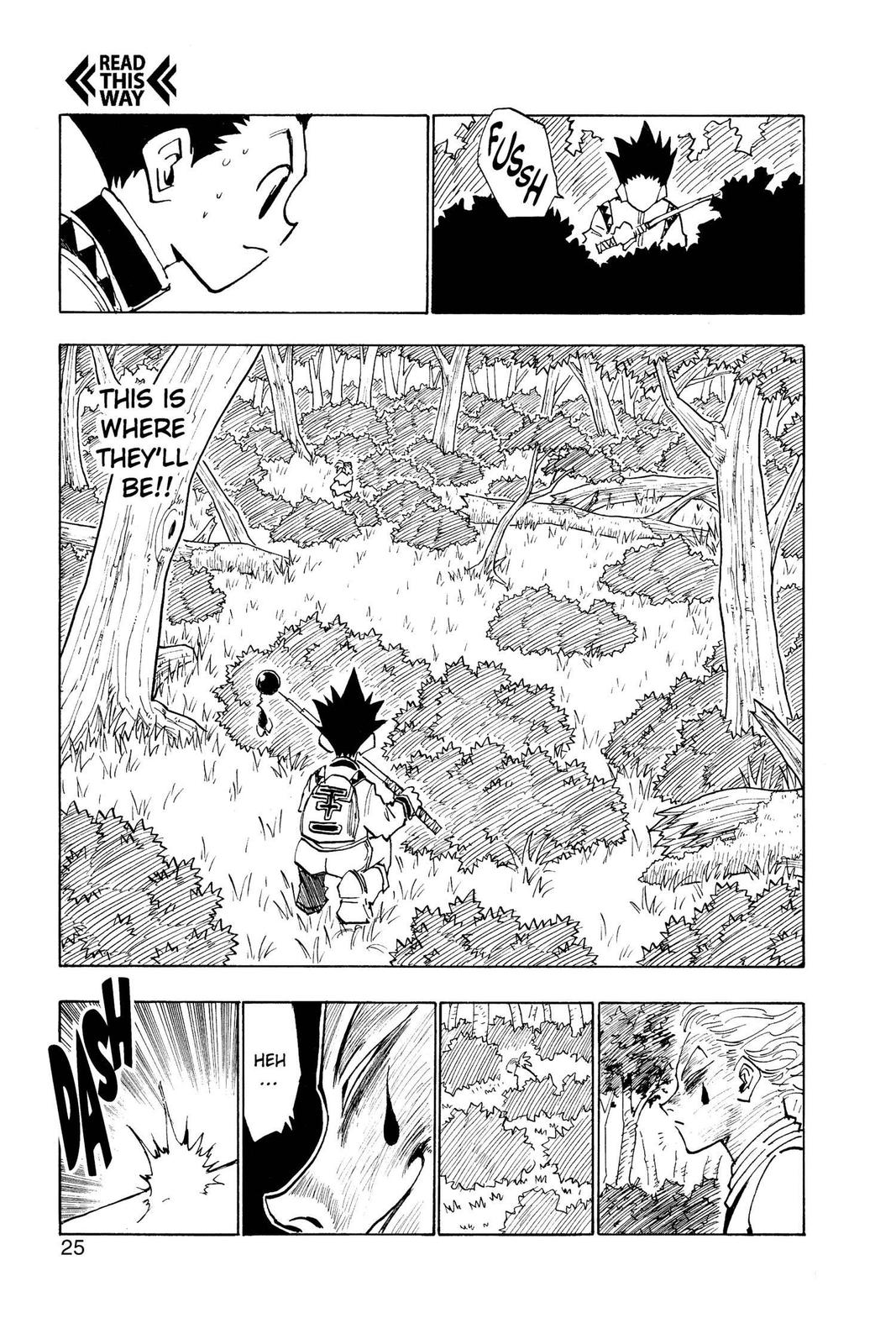 Hunter x Hunter Chapter 27 — page 25