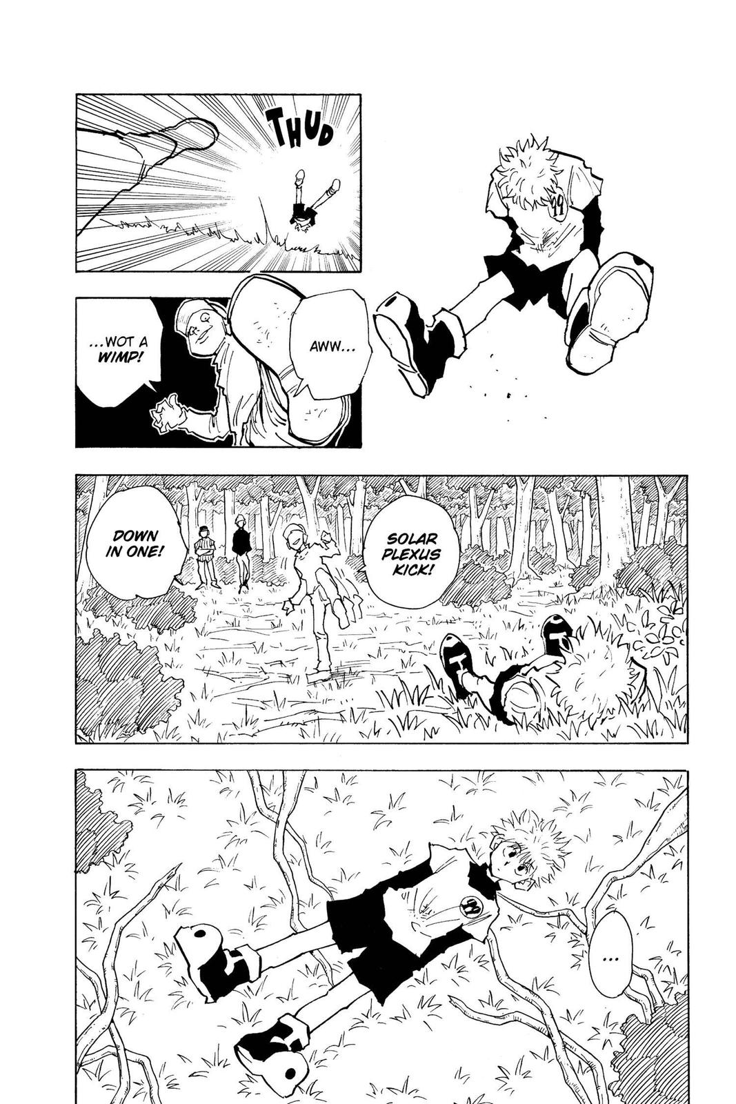 Hunter x Hunter Chapter 29 — page 8