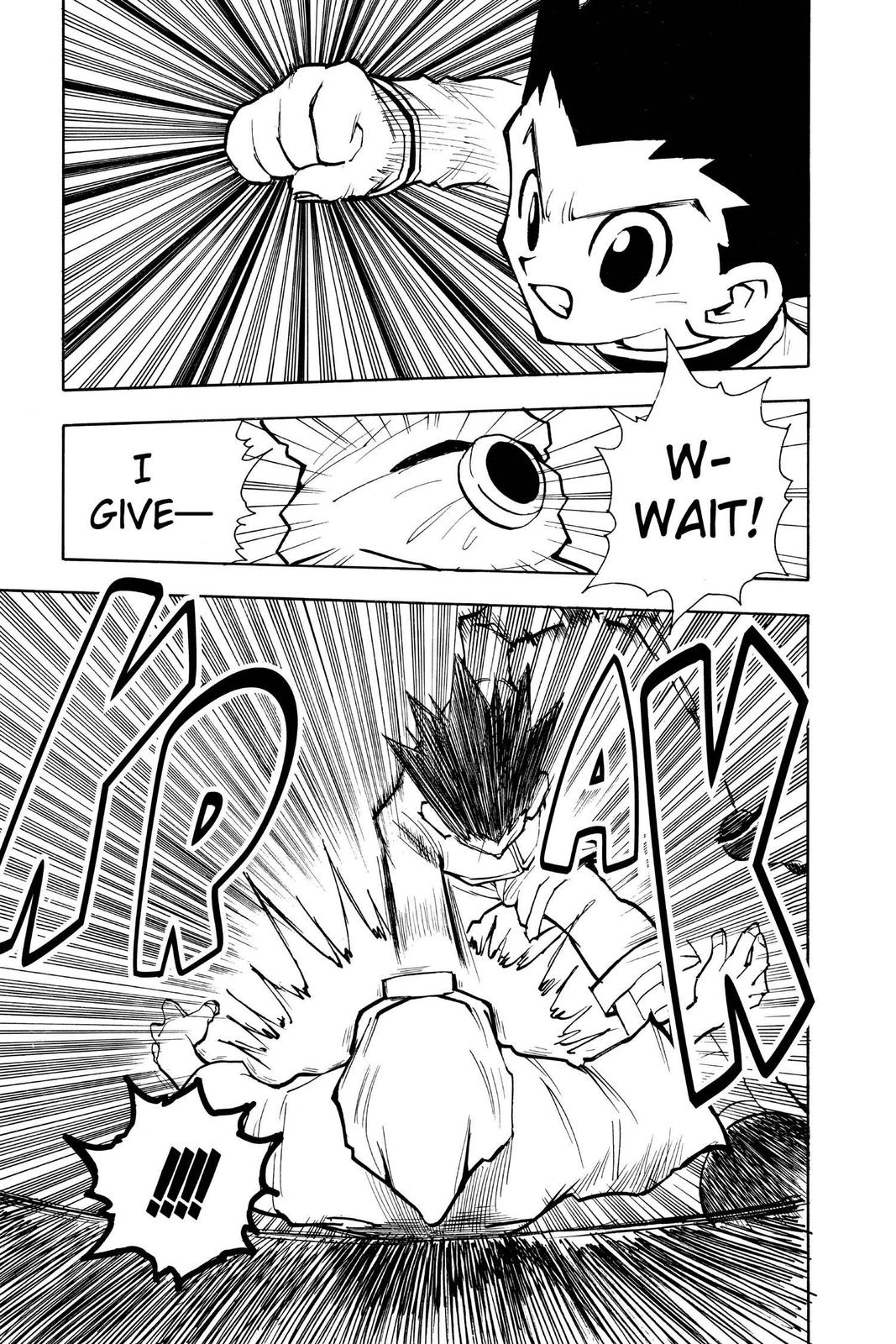 Hunter x Hunter Chapter 58 — page 17
