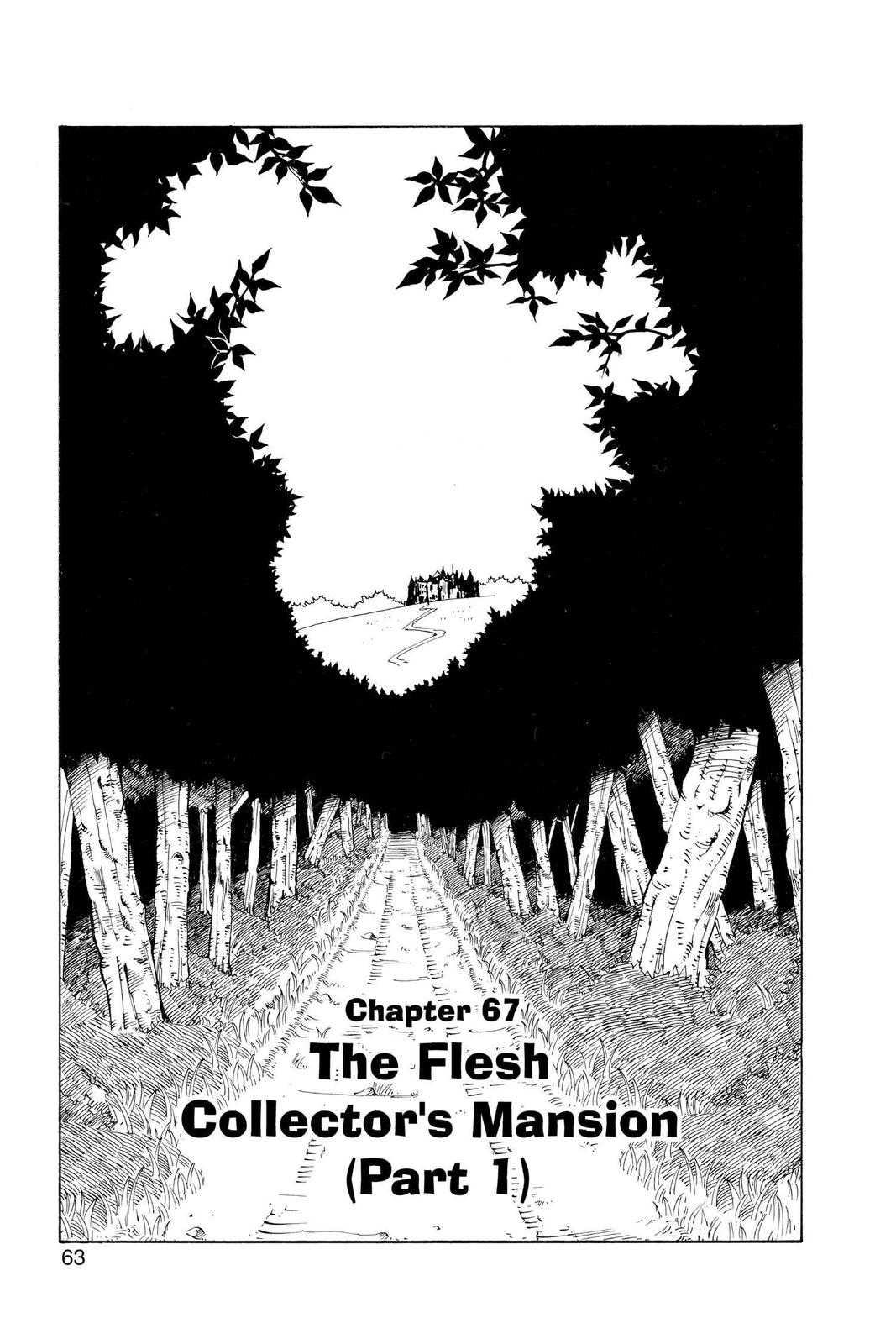 Hunter x Hunter Chapter 67 — page 1