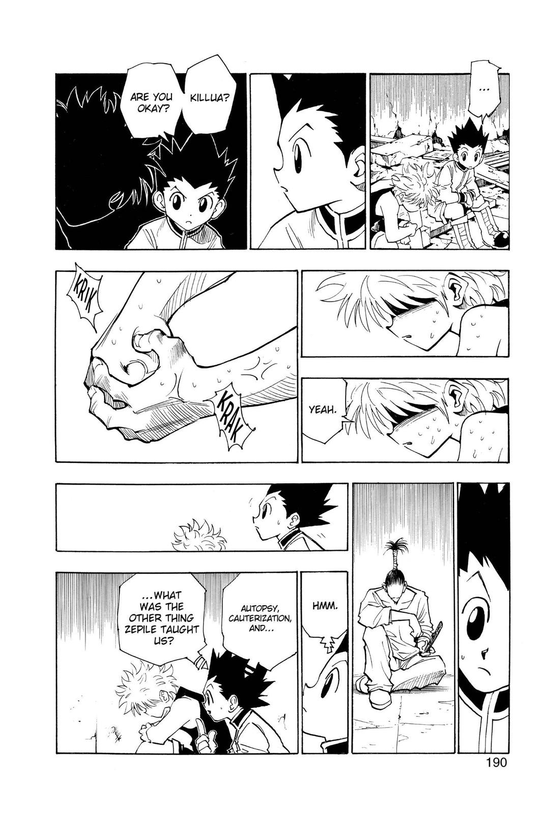 Hunter x Hunter Chapter 93 — page 10