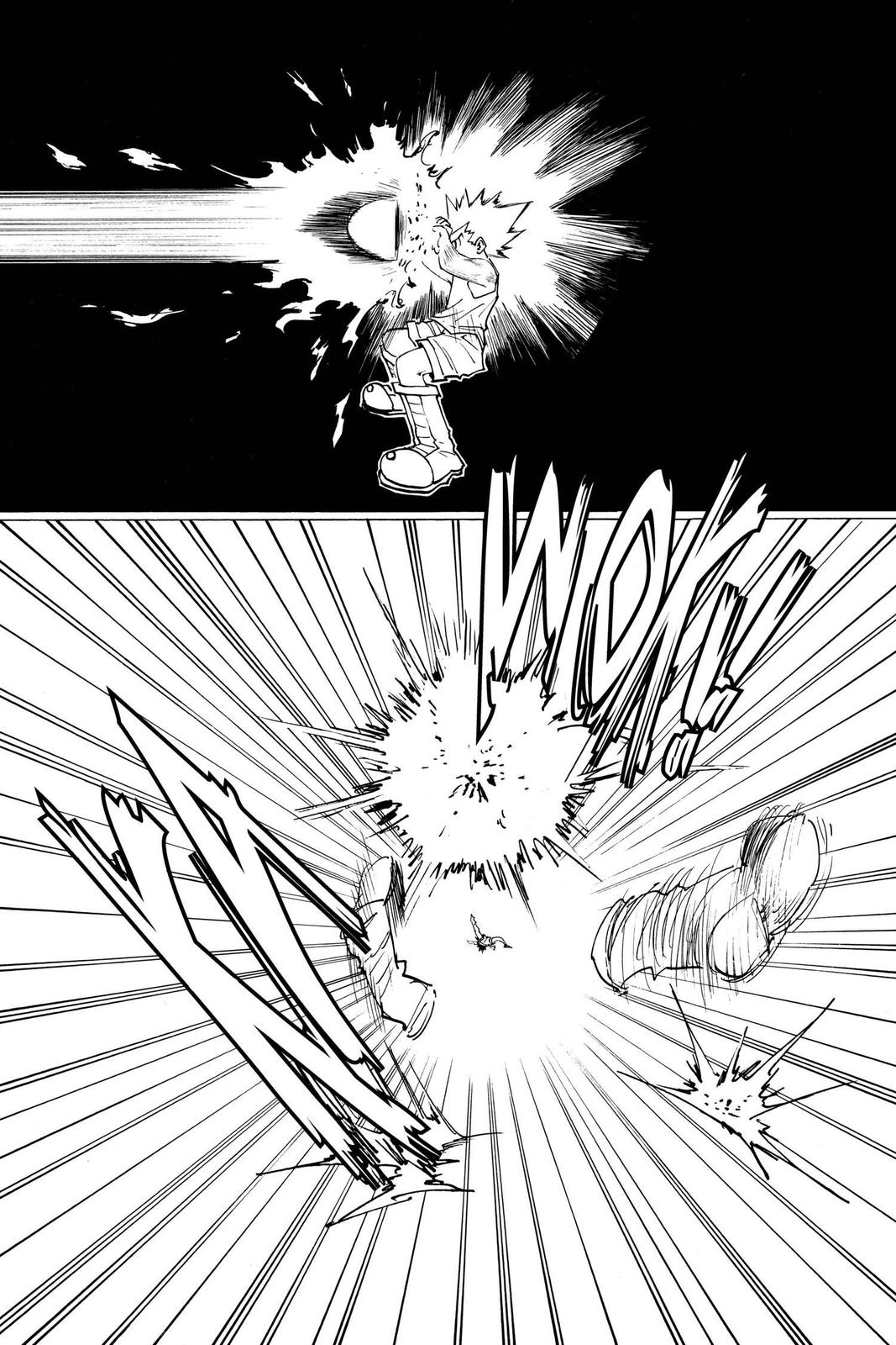 Hunter x Hunter Chapter 163 — page 9