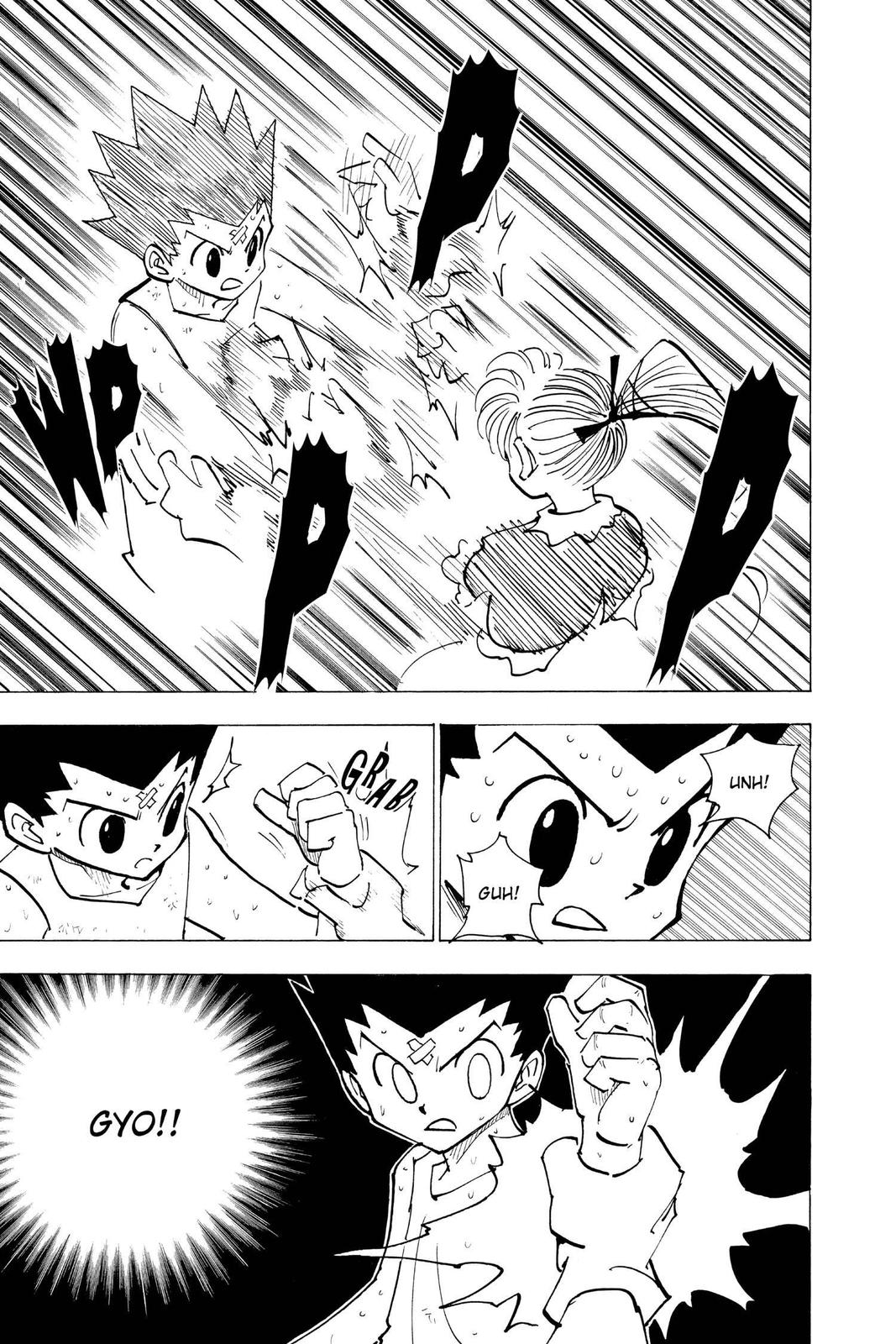 Hunter x Hunter Chapter 171 — page 5