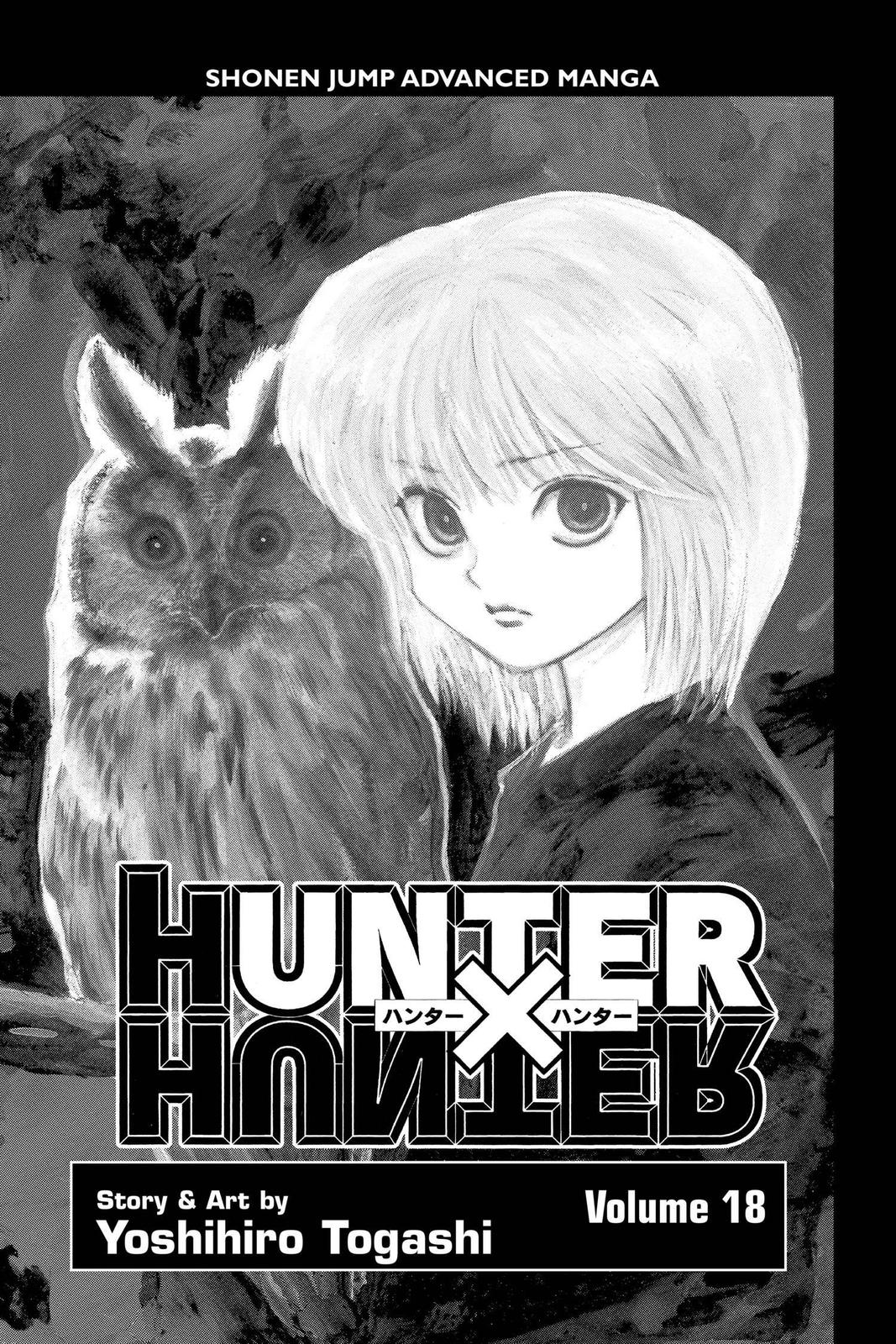 Hunter x Hunter Chapter 176 — page 4