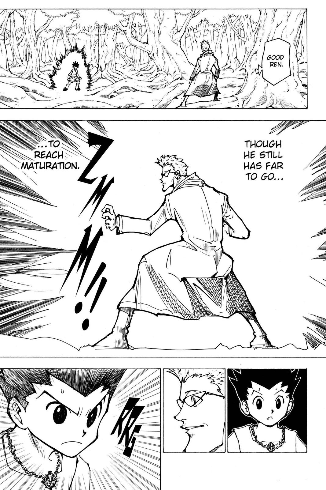 Hunter x Hunter Chapter 176 — page 13