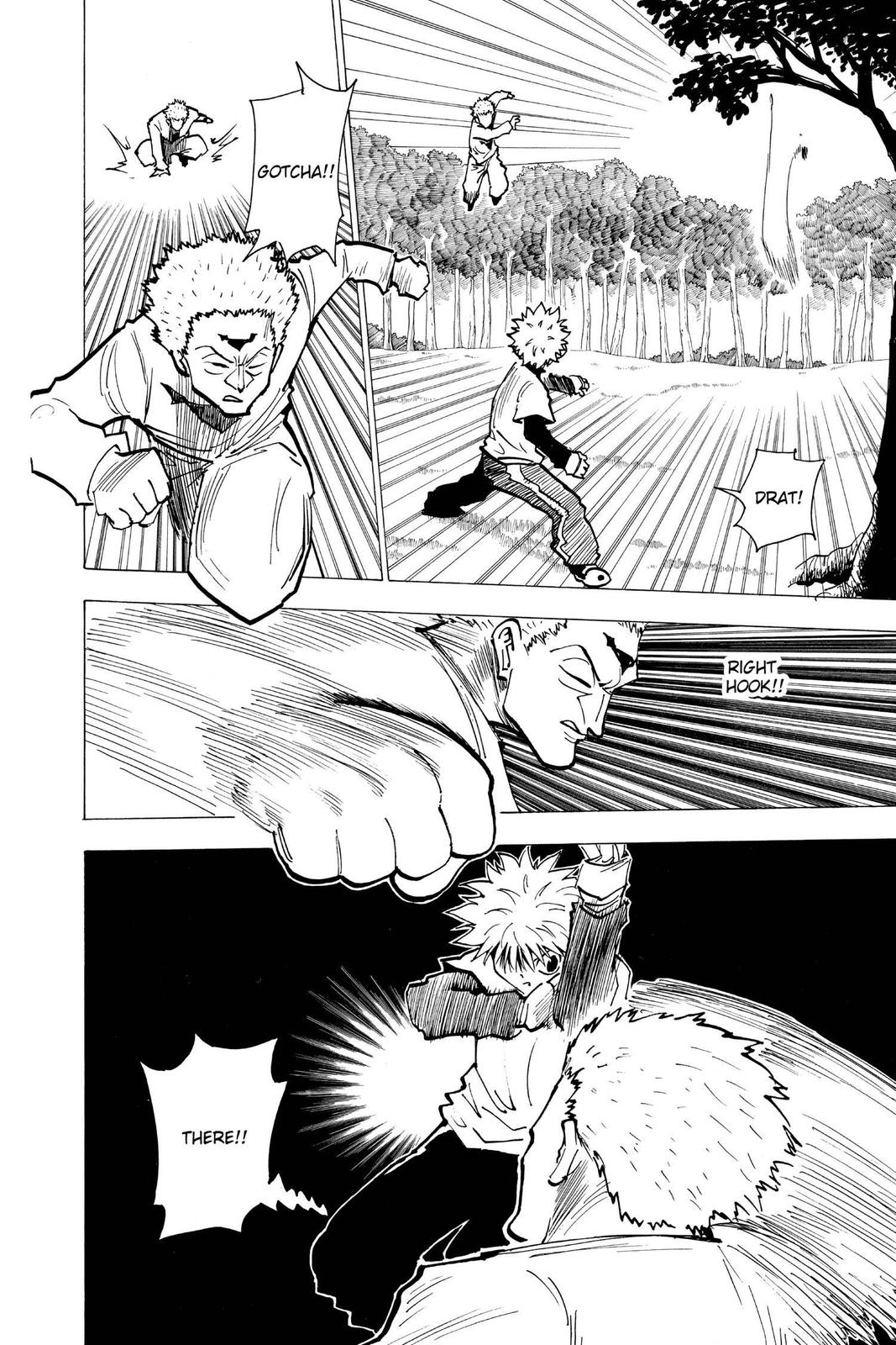 Hunter x Hunter Chapter 178 — page 10