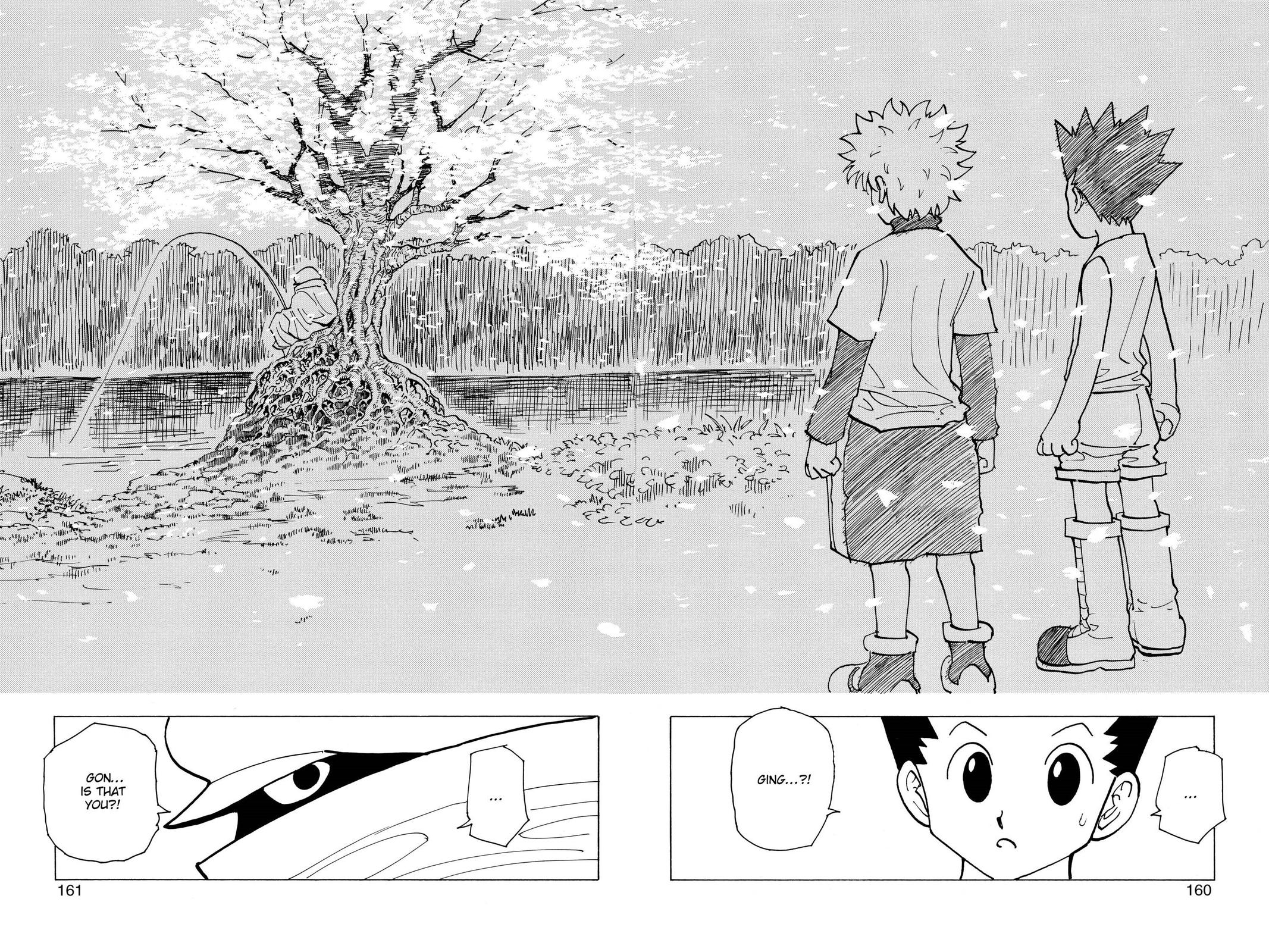 Hunter x Hunter Chapter 185 — page 10
