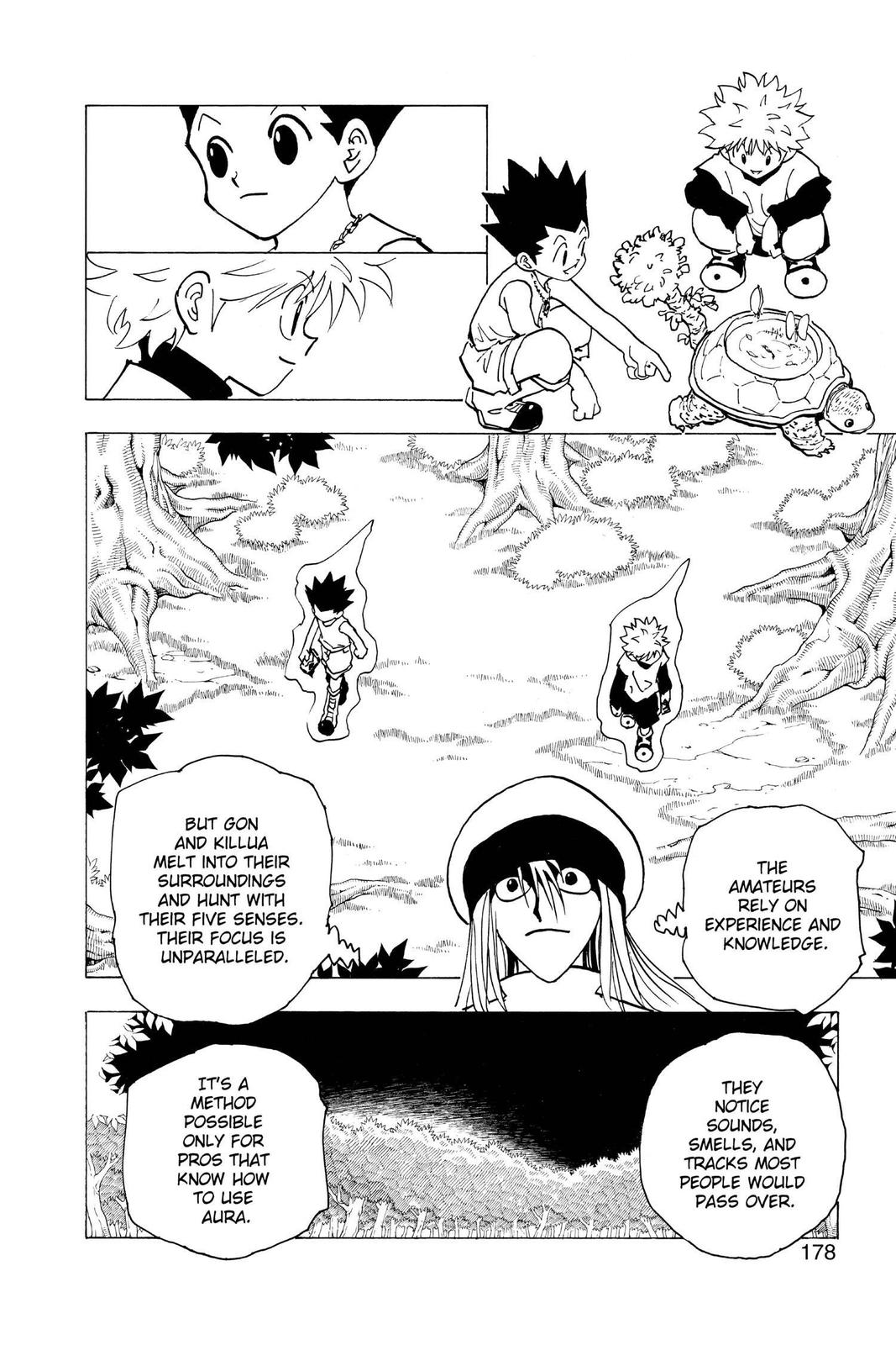 Hunter x Hunter Chapter 186 — page 12