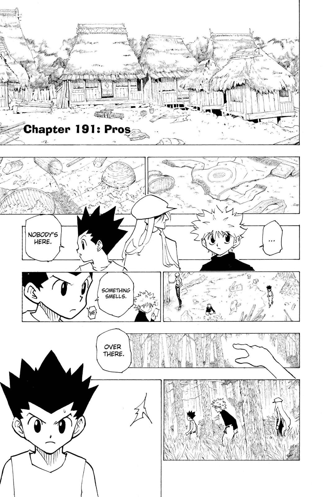 Hunter x Hunter Chapter 191 — page 1