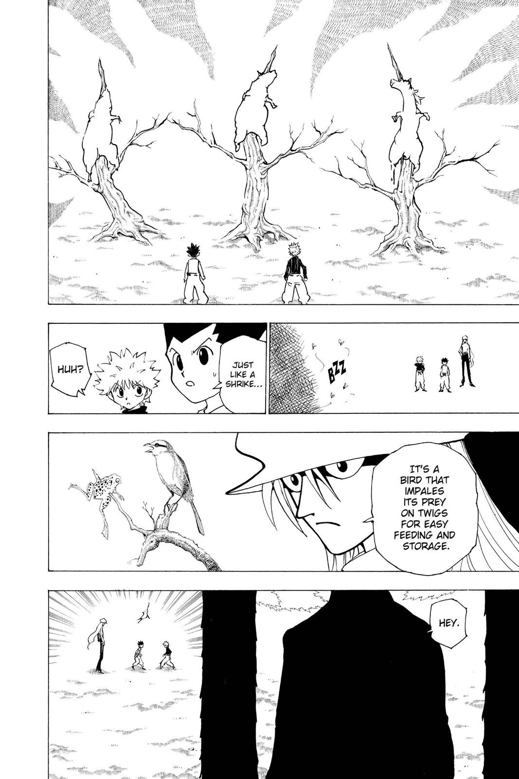 Hunter x Hunter Chapter 191 — page 2