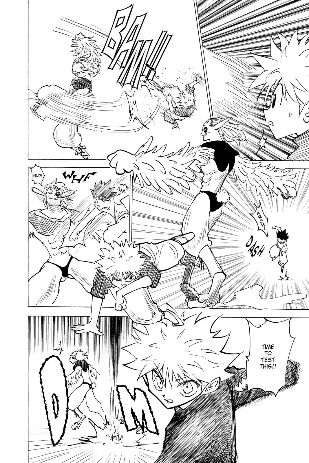 Hunter x Hunter Chapter 191 — page 10