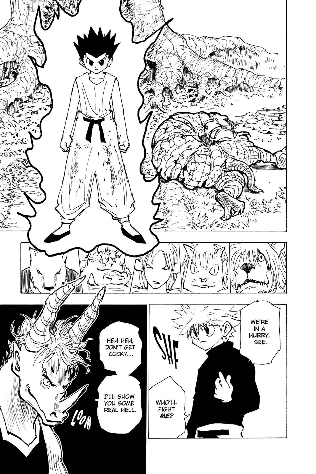 Hunter x Hunter Chapter 195 — page 14