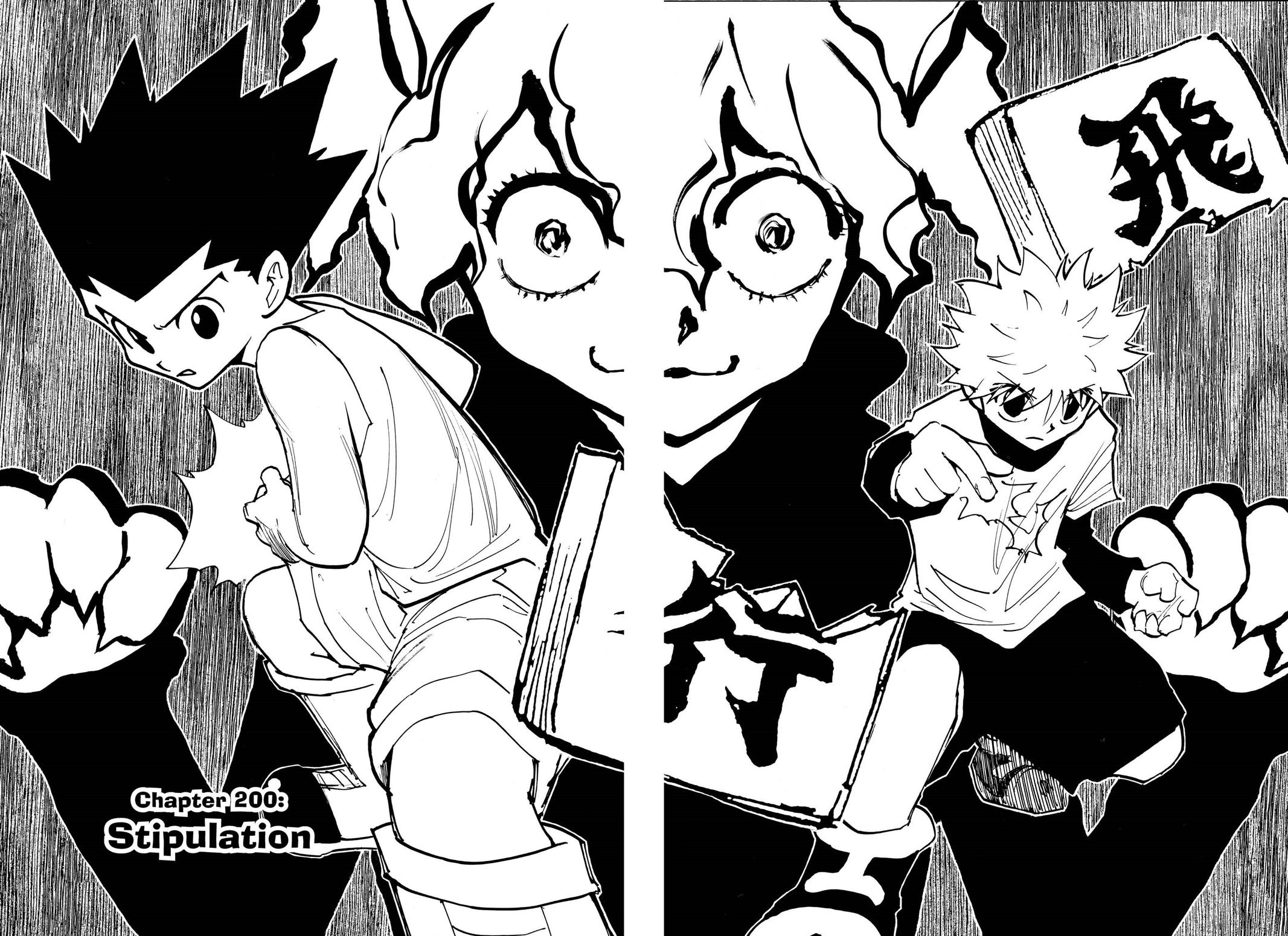 Hunter x Hunter Chapter 200 — page 8