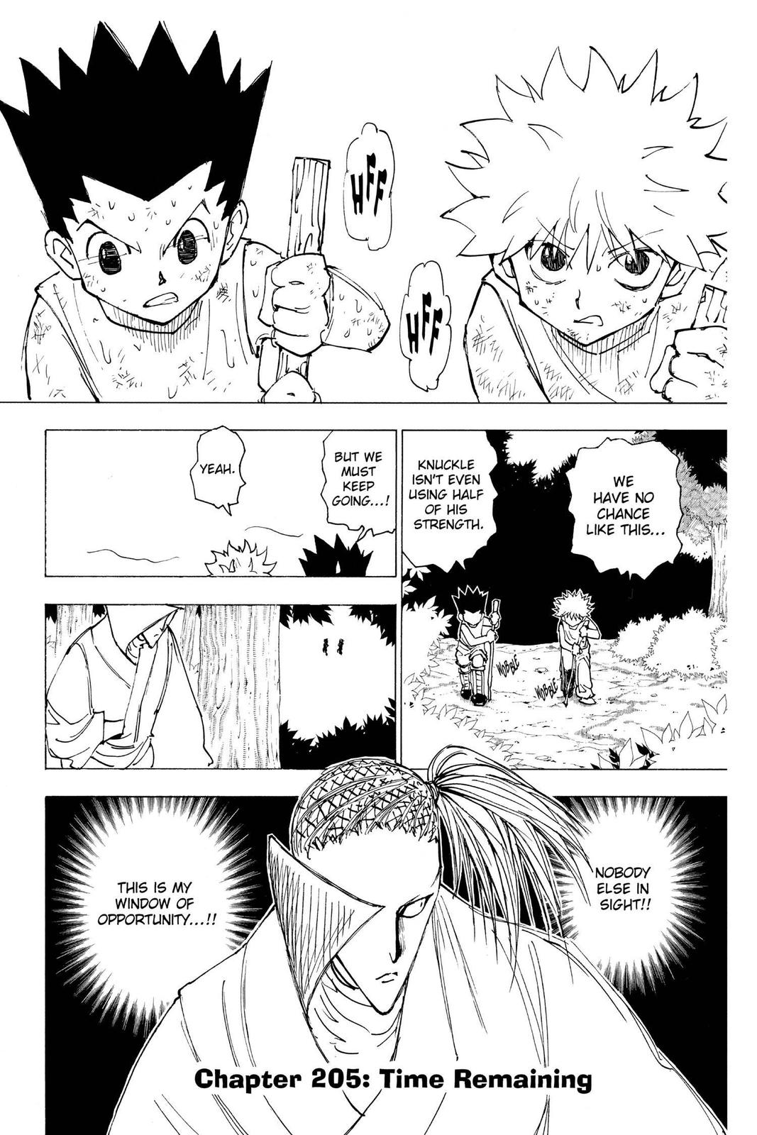 Hunter x Hunter Chapter 205 — page 1
