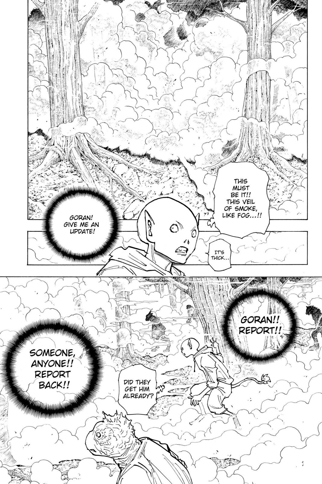 Hunter x Hunter Chapter 205 — page 11