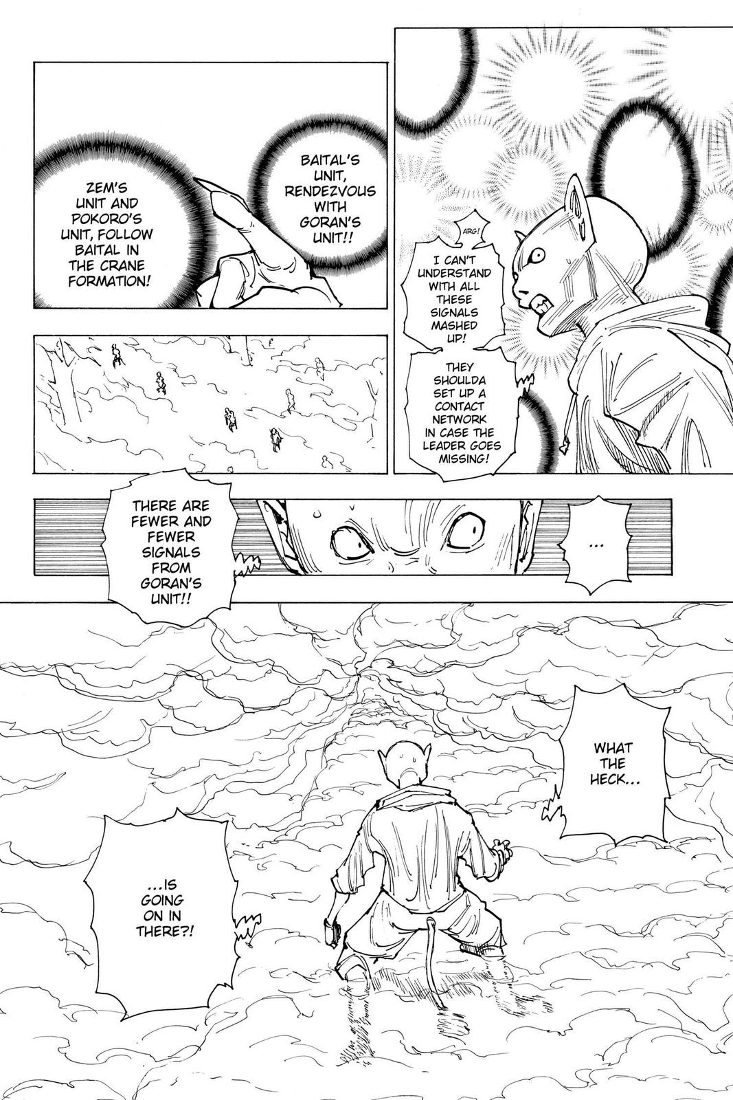 Hunter x Hunter Chapter 205 — page 12